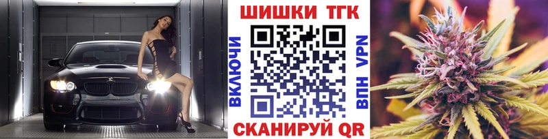 Шишки марихуана SATIVA & INDICA mega как зайти Карачев где можно купить